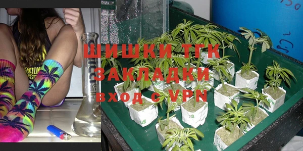 твердый Каменка