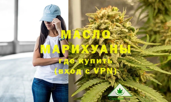 шишки Каменногорск