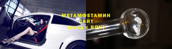 шишки Каменногорск