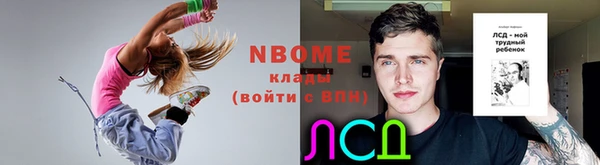 шишки Каменногорск