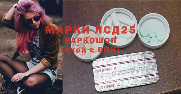 шишки Каменногорск