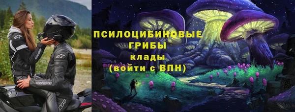 твердый Каменка