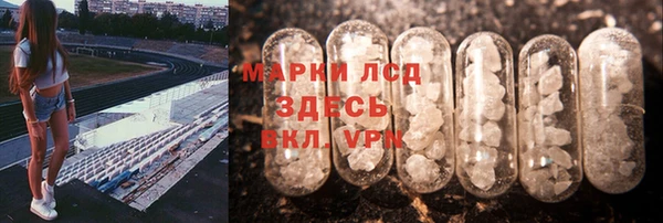 шишки Каменногорск