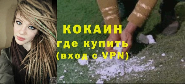 шишки Каменногорск