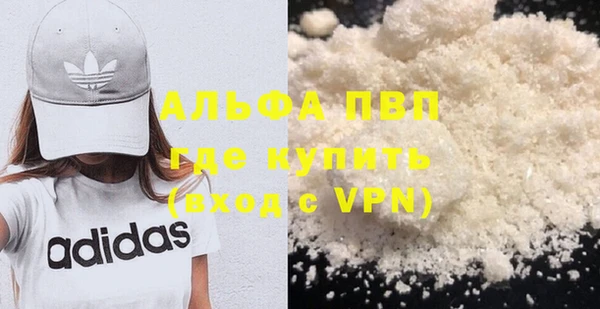 шишки Каменногорск
