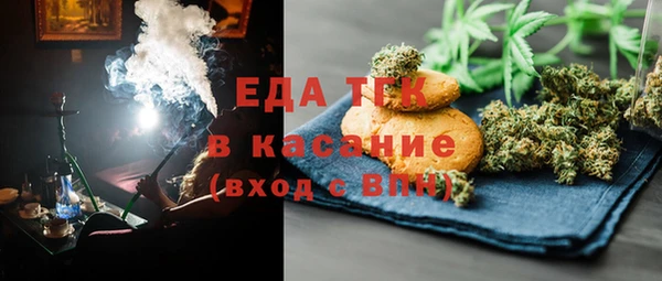 шишки Каменногорск