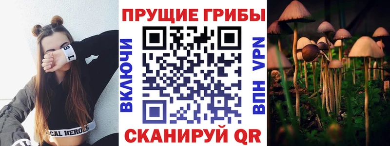 Псилоцибиновые грибы MAGIC MUSHROOMS  даркнет сайт  Нюрба 